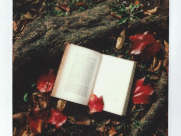 Photo: I am selling books from the old library